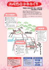 �Ҥʤᤰ����饷��΢��