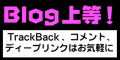 ブログ上等