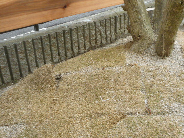 P1070035