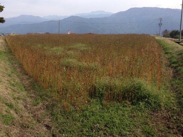 2013-11-09-10-52-34