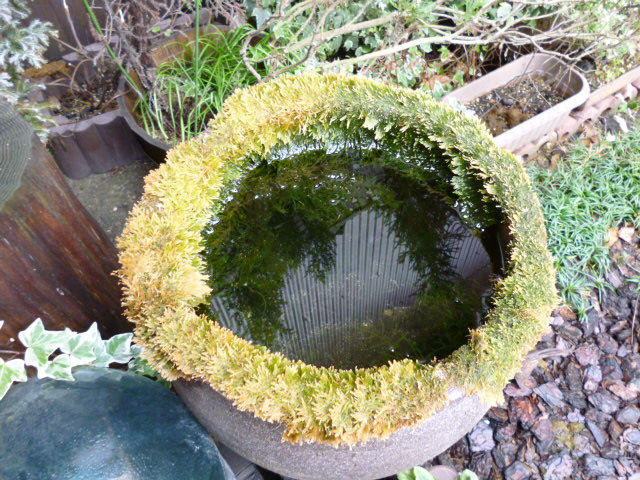 P1000135