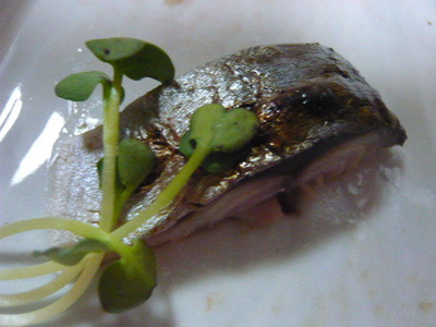 P1080507