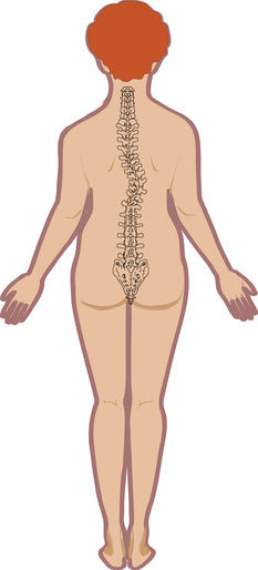 Fotolia_18213866_XS