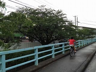 s-東中 010