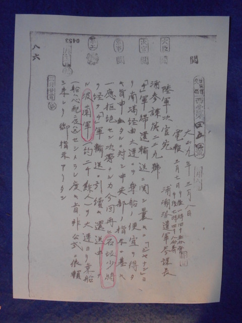 DSCN5544