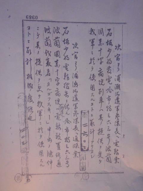DSCN6313