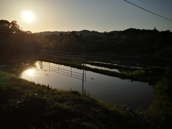0421代掻き完了