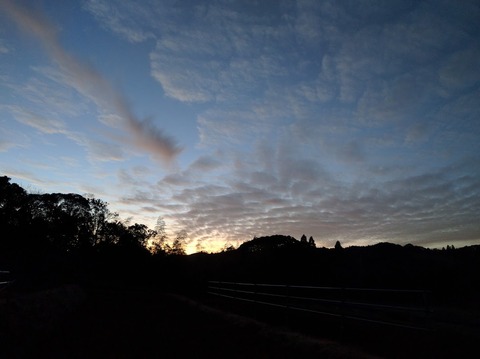 0127夕空.jpg
