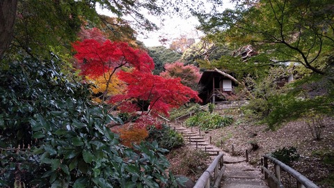 1207三渓園1.jpg