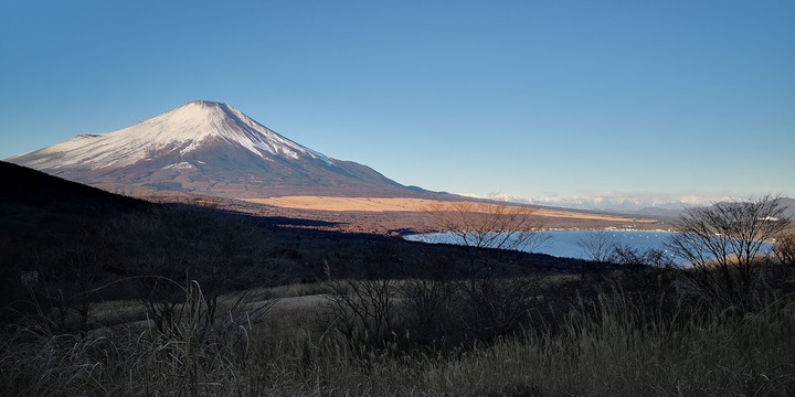 1231富士