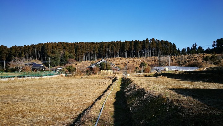 0104庭の景観2