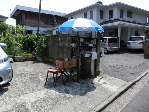 0317直売所棚2.JPG