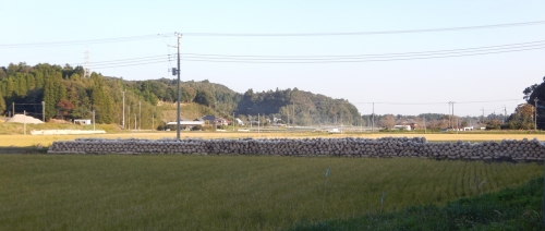5b0f1018.jpg