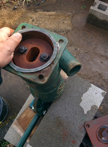 6cb98689.jpg