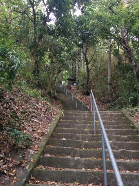 0813神社階段2.jpg