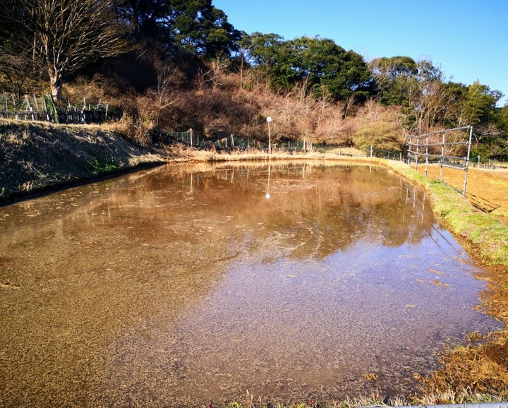 0403代掻き1号2