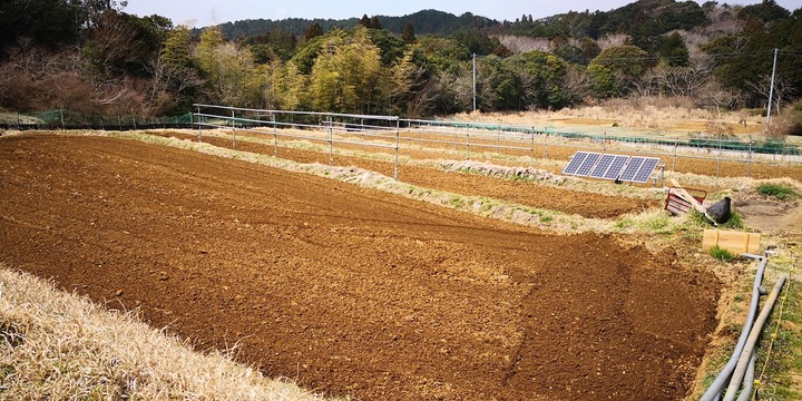 0315田起こし3回め