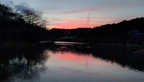 1207三渓園3.jpg