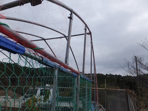 1204防獣ハウス侵入口.jpg