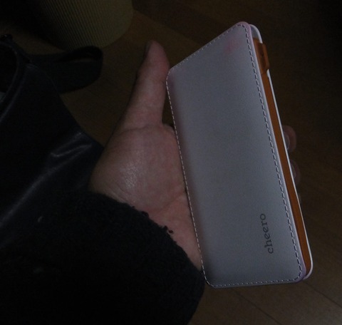0304外部電池3.JPG
