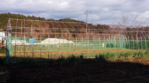 1225ハウス完成.jpg