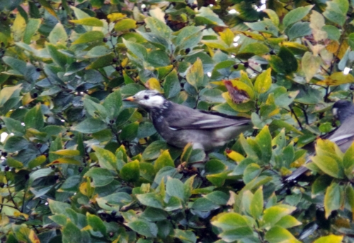 d59e304e.jpg