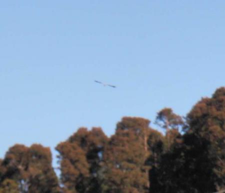 ee121292.jpg