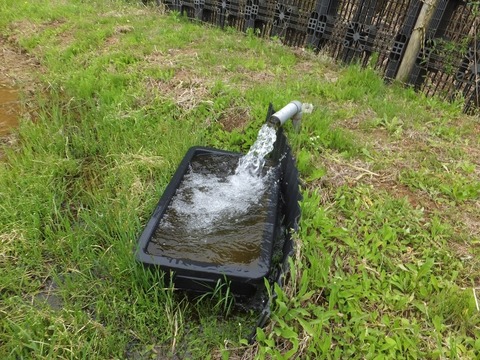 0626川からの水.jpg