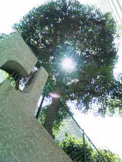grdr0002336706_0042138323pc