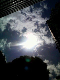 grdr0002336706_0041043428pc