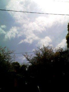grdr0002336706_0039997801pc