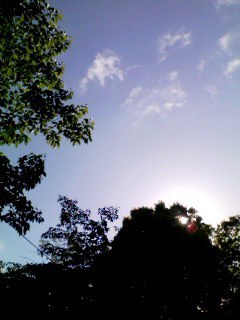 grdr0002336706_0040827841pc