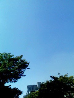 grdr0002336706_0046495279pc