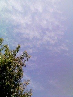 grdr0002336706_0040033557pc