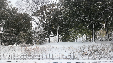 DCIM0030