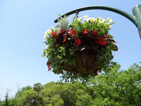 DSC00012