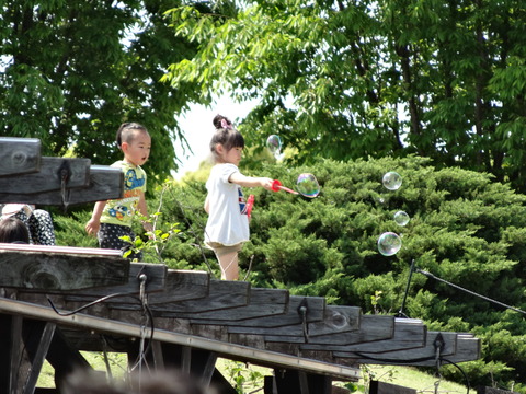 DSC00064