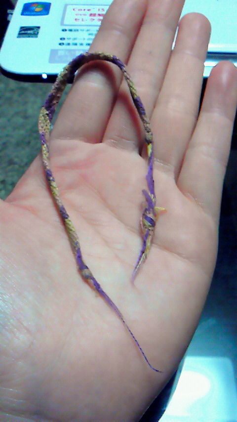 201202230042000[1]