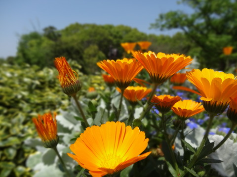 DSC00015