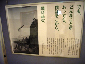 31e119ab.jpg