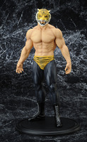 tigermask120113-010