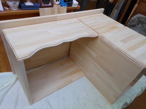 DSCN0528