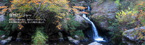 inature_main[1]