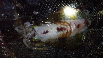 120202