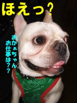 �ʤ�ǵ��Ρ�