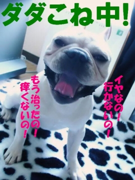 ���䡪��