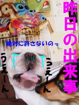 ²ù¤·¤«¤Ã¤¿¤Î¡¦¡¦¡¦