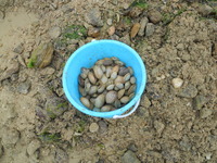 DSCN4387