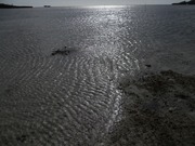 DSCN7251