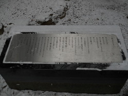 DSCN8966